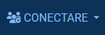Buton Conectare